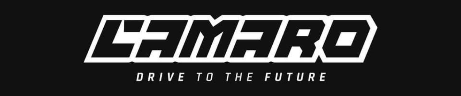 Szkoła Jazdy Wągrowiec OSK Camaro